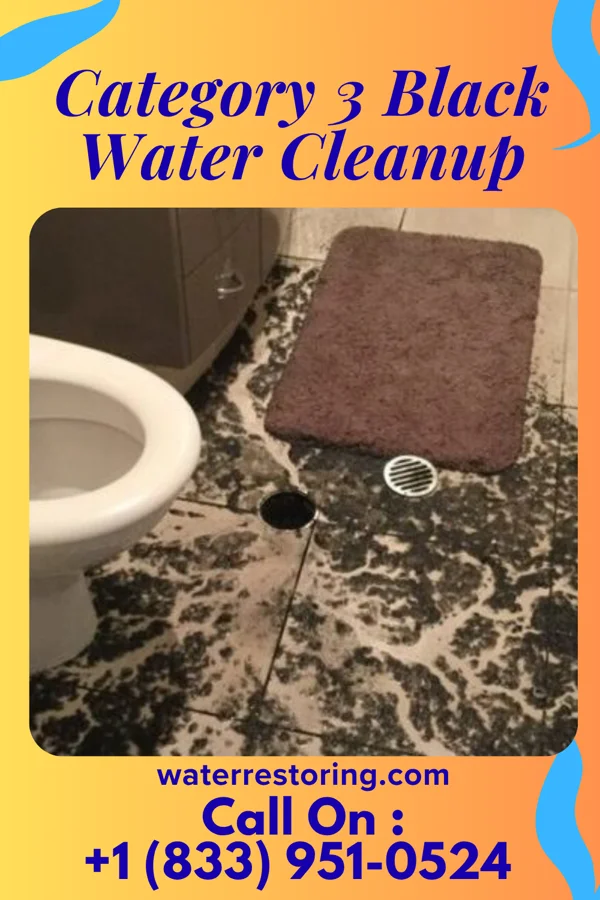 Category 3 Black Water Cleanup in Steelton, PA