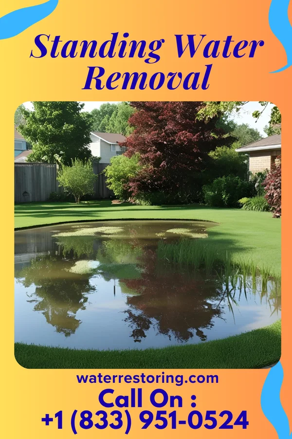 Standing Water Removal in Steelton, PA